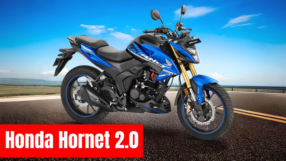 Honda Hornet 2.0